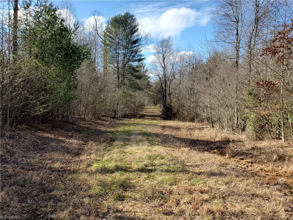 0 Eldora Road Ararat, NC 27007 - Photo 10 of 36 Gallery Image 10