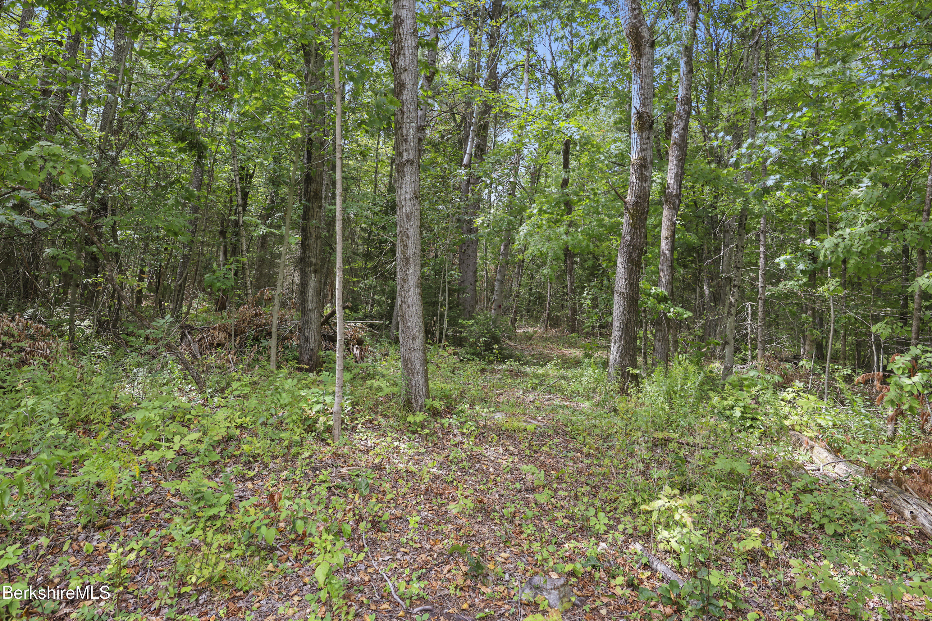 0 Yokum Pond Road Becket, MA 01223 - Photo 5 of 19 Lot View