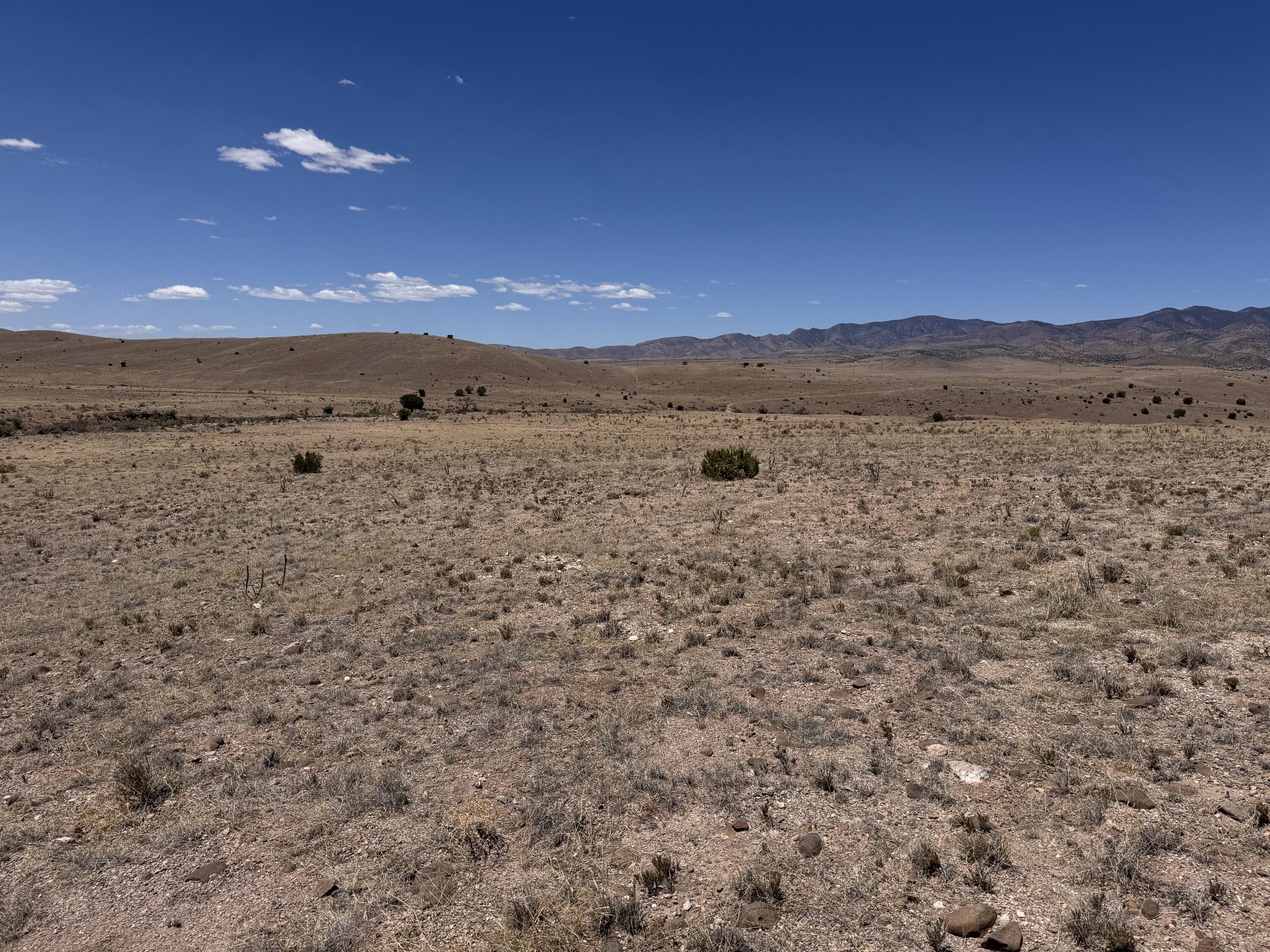 663 Willow Springs Ranch Road Socorro, NM 87801 - Photo 16 of 26 Gallery Image 16
