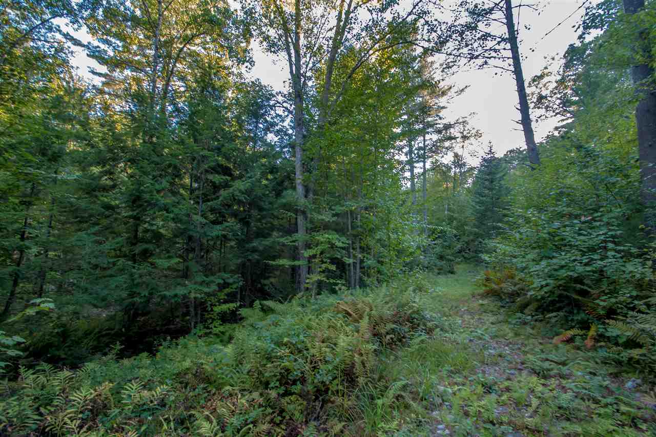 113 Toad Hill Road Chatham, NH 03813 - Photo 36 of 36
