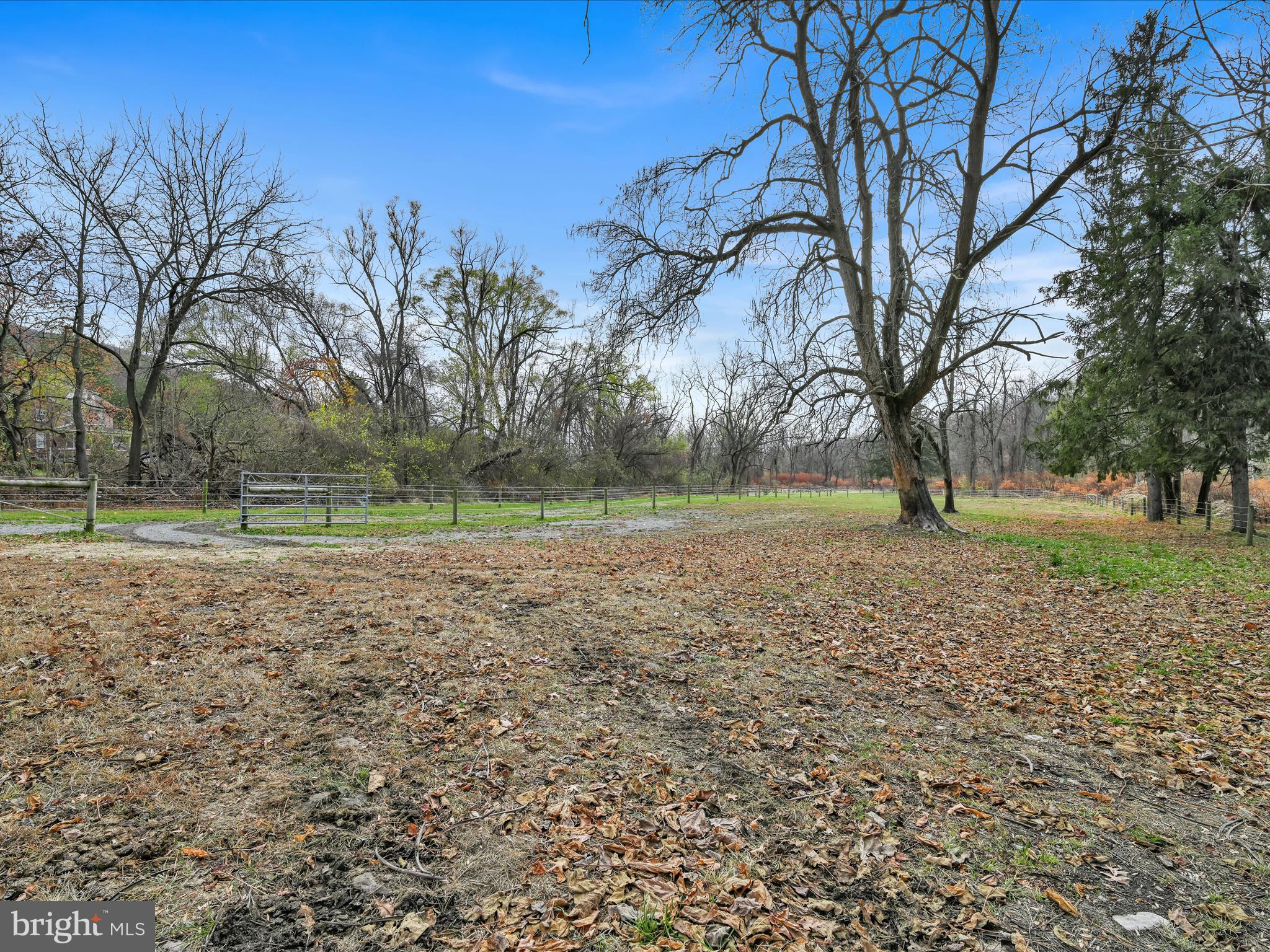 2868 Pricetown Road Temple, PA 19560 - Photo 53 of 80 Backyard