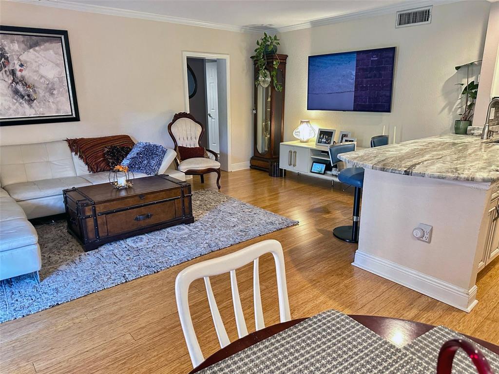 8911 Blind Pass Road, Unit 220 St. Pete Beach, FL 33706 - Photo 53 of 67 a living room with furniture and a rug