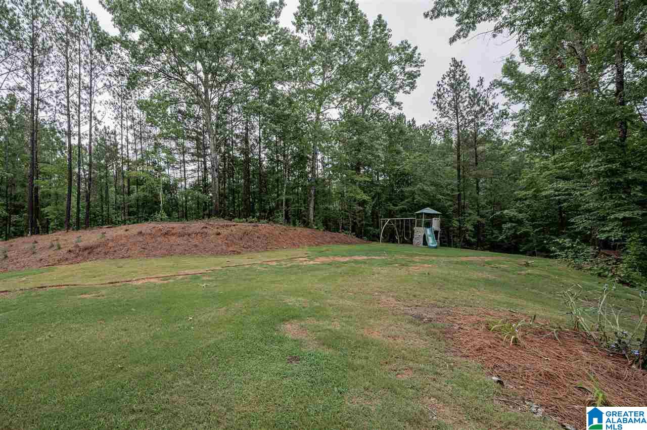 325 Camp Forrest Trail Helena, AL 35080 - Photo 50 of 50