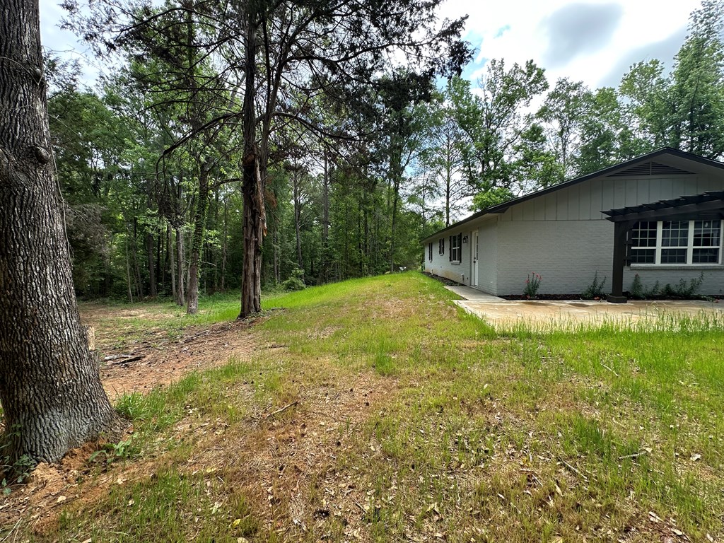 593 Mary McClendon Road Ozark, AL 36360 - Photo 61 of 65