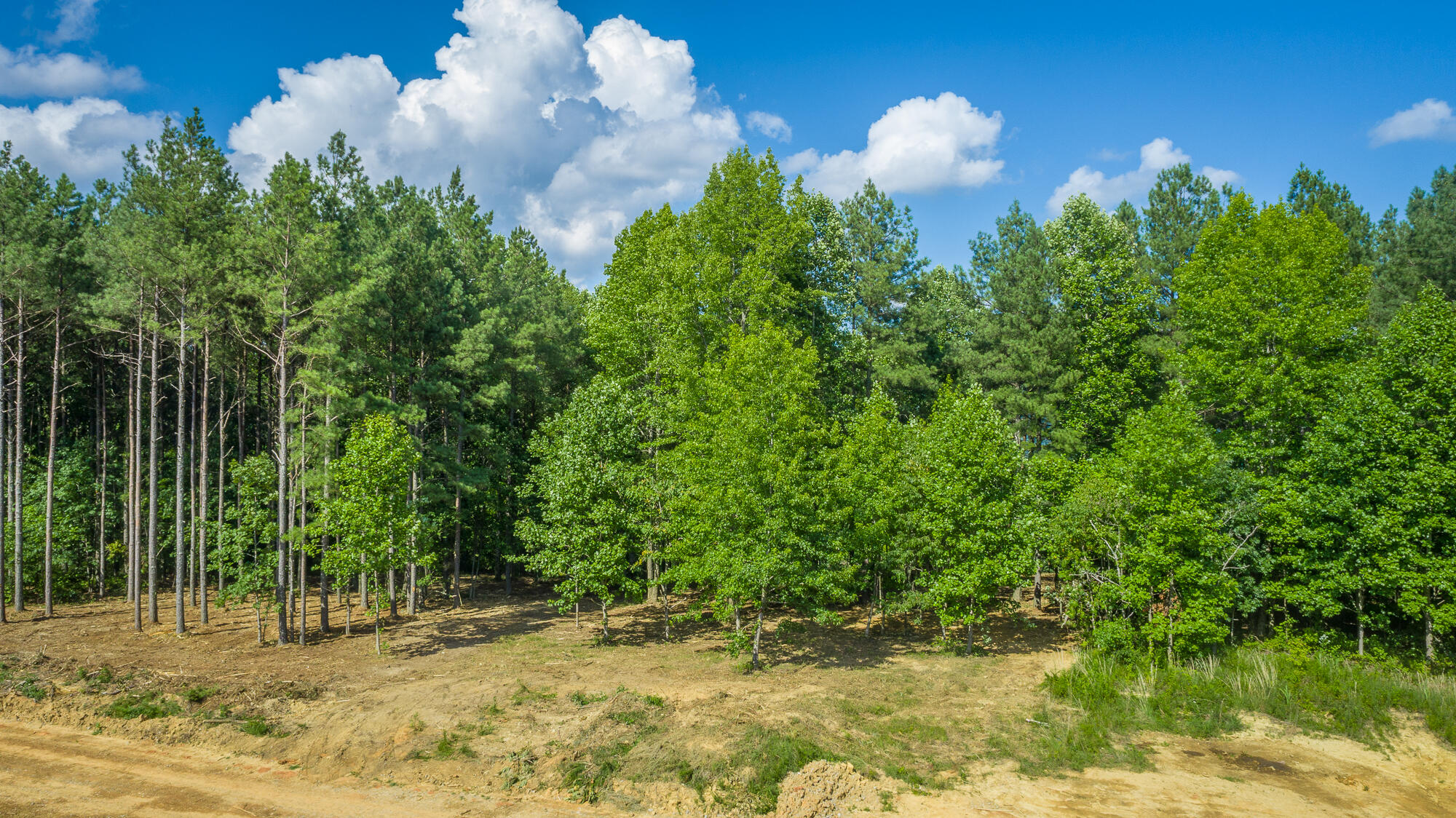 0 High Ground Road, Unit 2222 Guild, TN 37340 - Photo 39 of 110 0 High Ground Road Lot 2222 HD-7