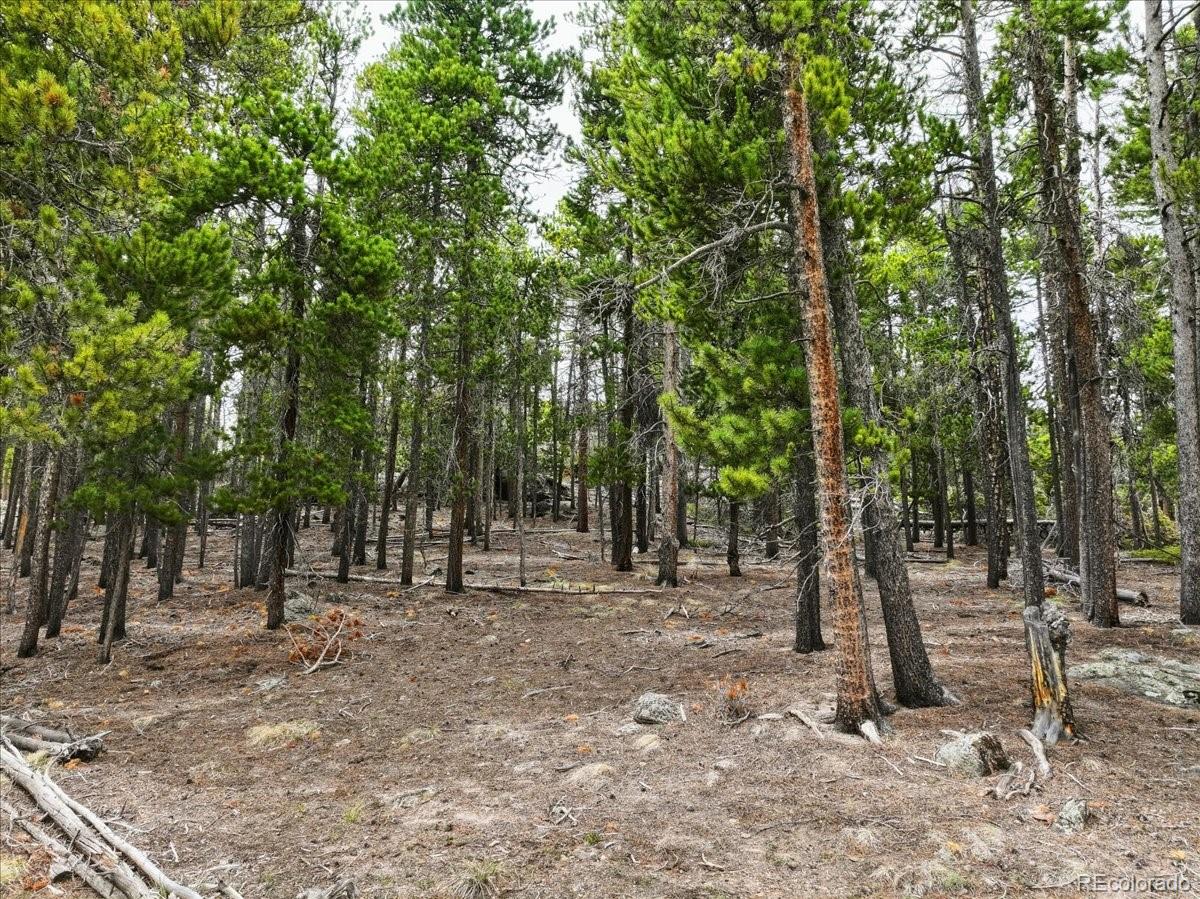 0 Sinton Road Evergreen, CO 80439 - Photo 18 of 20
