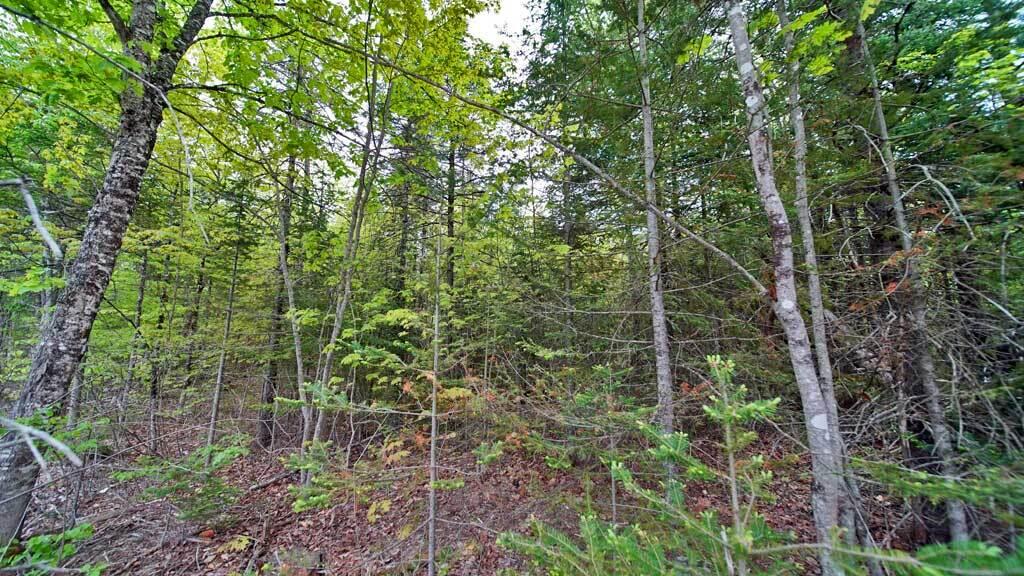 Lot 18 Monument Road Amity, ME 04471 - Photo 17 of 29 18-b-monument-rd-amity-5