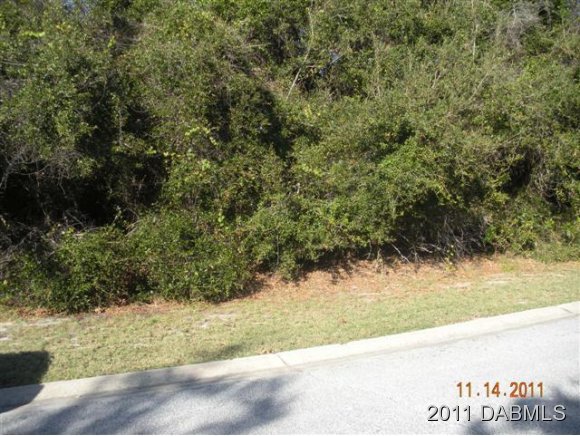 84 Ponce Inlet, FL 32127 - Photo 1 of 2 Primary Photo