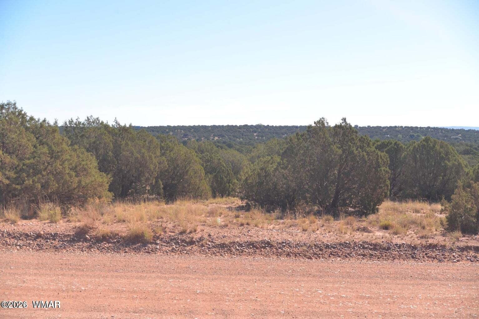 4173 Colt Road Snowflake, AZ 85937 - Photo 5 of 5 Colt Road Pic 1