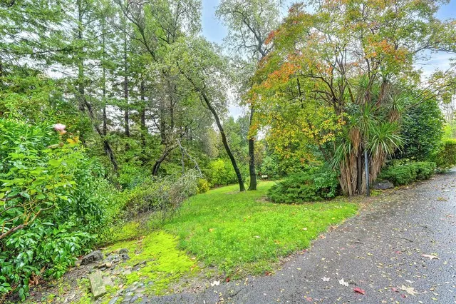 a view of a house with a yard and plants