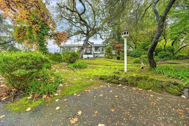 a view of empty room with wooden floor and fireplace