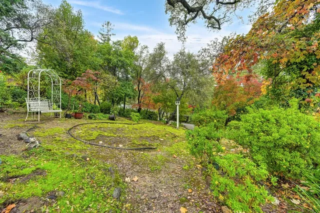 a view of a livingroom with a fireplace wooden floor and windows