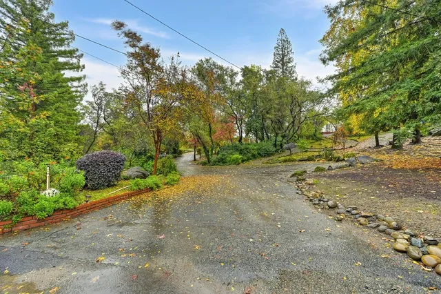 a view of a yard with a tree