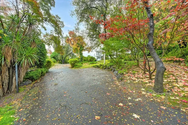 a view of a house with a tree