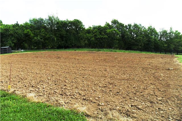 2228 Toby Robertson Road Spring Hill, TN 37174 - Photo 14 of 20 A GARDEN HAS BEEN PLANTED. ALL YOU HAVE TO DO IS JUST ENJOY.