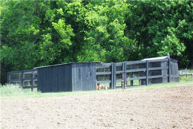 2228 Toby Robertson Road Spring Hill, TN 37174 - Photo 15 of 20 LARGE CHICKEN COOP HAS BEEN BUILT ON THE PROPERTY.