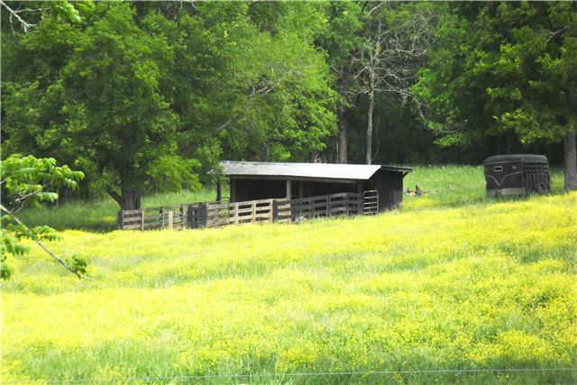 2228 Toby Robertson Road Spring Hill, TN 37174 - Photo 16 of 20 THE PIG BARN IS CURRENTLY HOUSING PIGS. COULD BE USED FOR GOATS OR DONKEYS.