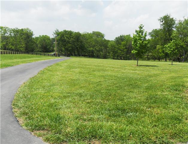 2228 Toby Robertson Road Spring Hill, TN 37174 - Photo 17 of 20 THE FRONT YARD IS VERY LARGE. MAKES THIS THE PERFECT PLACE TO HAVE PETS.