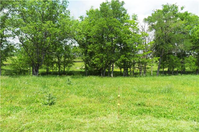 2228 Toby Robertson Road Spring Hill, TN 37174 - Photo 19 of 20 THERE IS A YEAR-ROUND CREEK THAT FLOWS THROUGH THE PROPERTY.