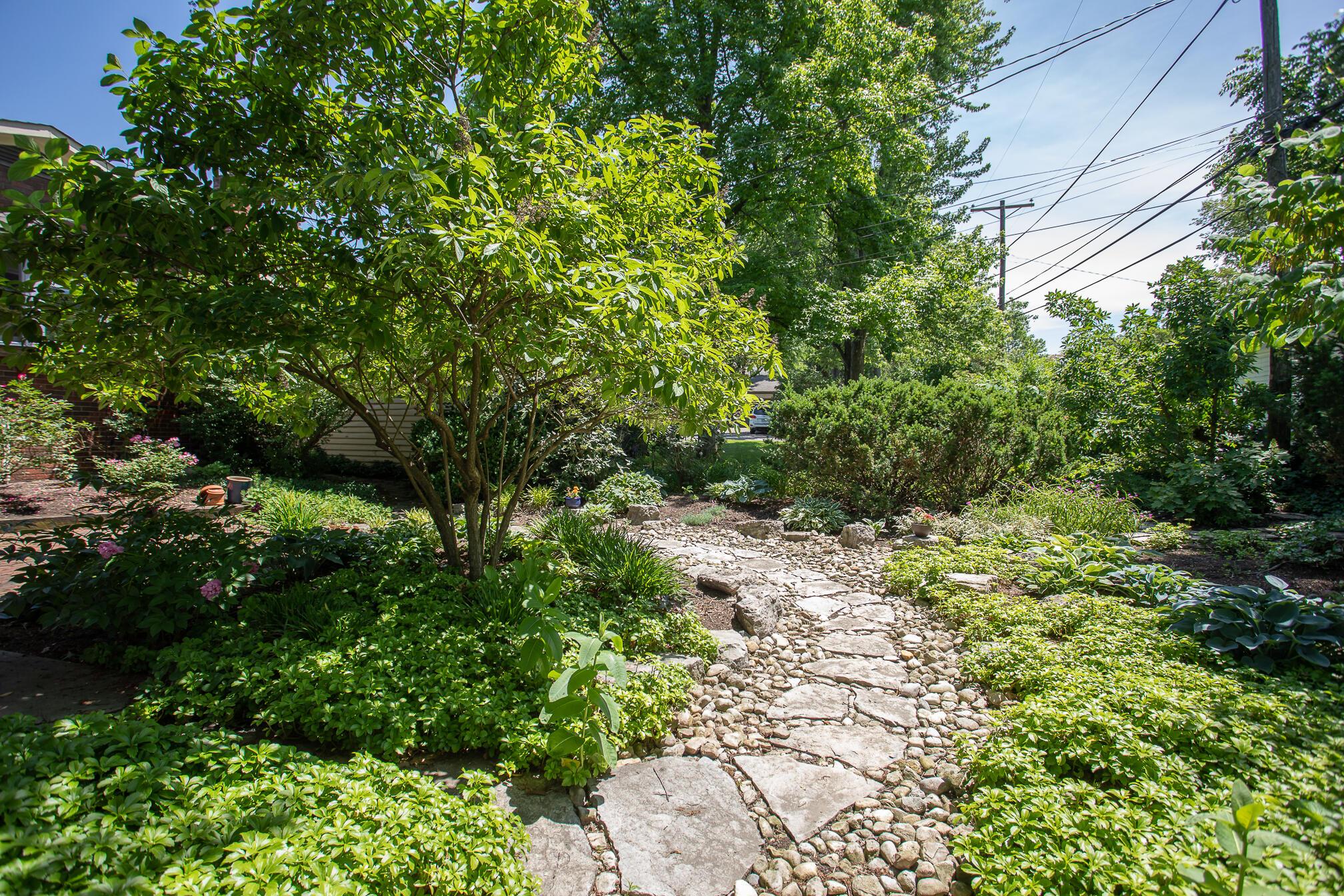 83 Arden Road Columbus, OH 43214 - Photo 8 of 47 83 Arden BE7A8518