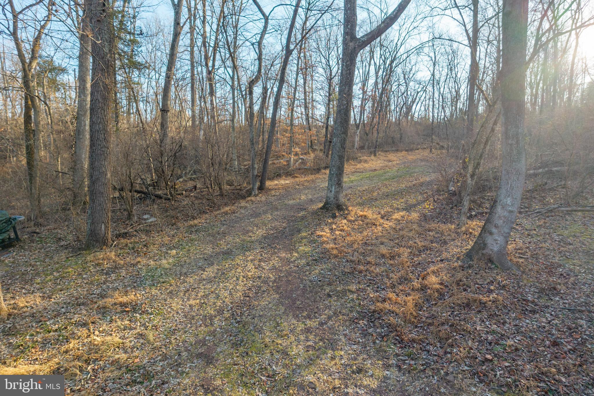0 Sanatoga Road, Unit B Pottstown, PA 19464 - Photo 38 of 42 Serene woodland path bathed in sunlight.