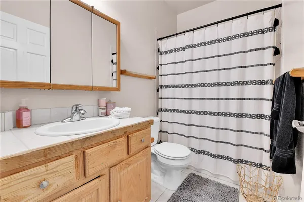 a bathroom with a sink and a toilet