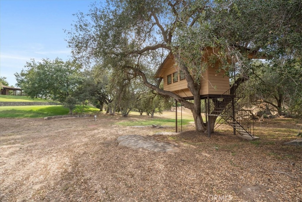 30718 Mesa Crest Road Valley Center, CA 92082 - Photo 39 of 50 Tree House