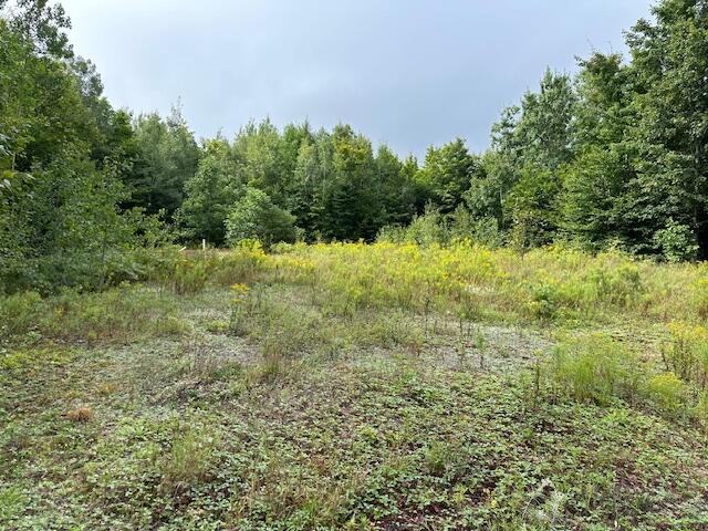0 Thompson Settlement Road Oakfield, ME 04763 - Photo 9 of 33 IMG_5101