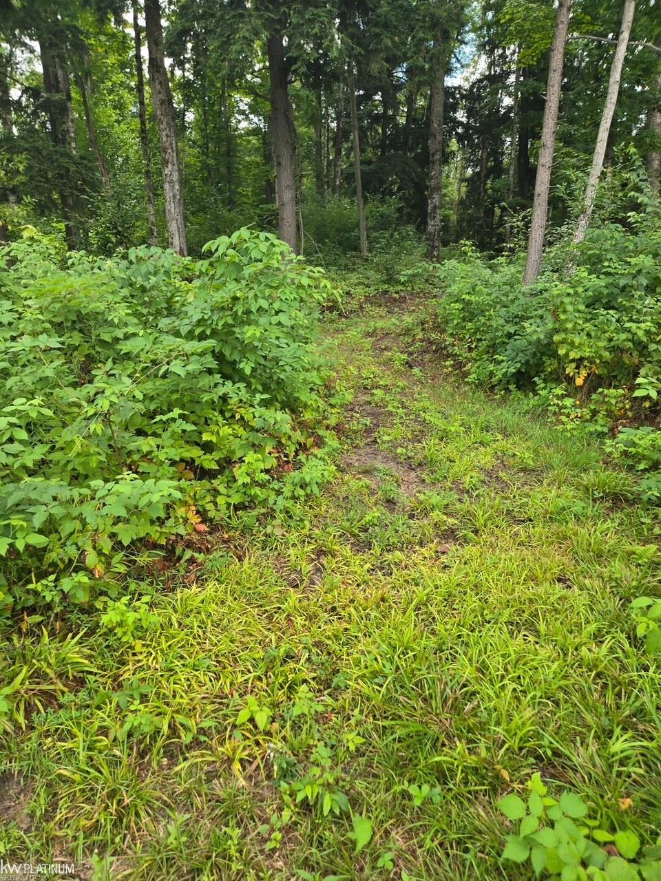 1216 Bundy Road Mancelona, MI 49659 - Photo 5 of 22 Gallery Image 5