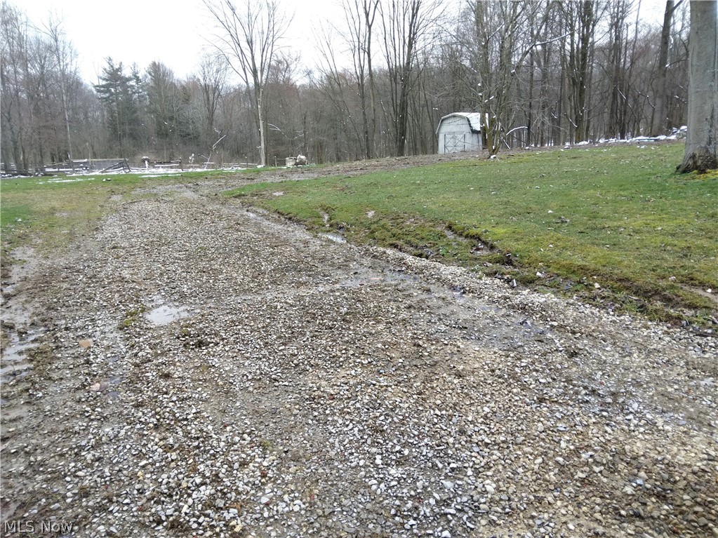 10296 Nichols Road Garrettsville, OH 44231 - Photo 3 of 4 View of street