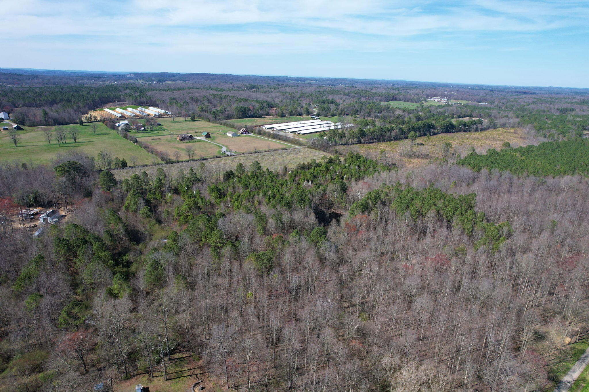 0 Branam Road Southeast Old Fort, TN 37362 - Photo 4 of 18