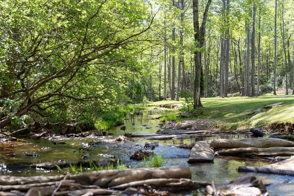 $2,450,000 | 545 Cowart Mountain Road, Jasper, GA 30143