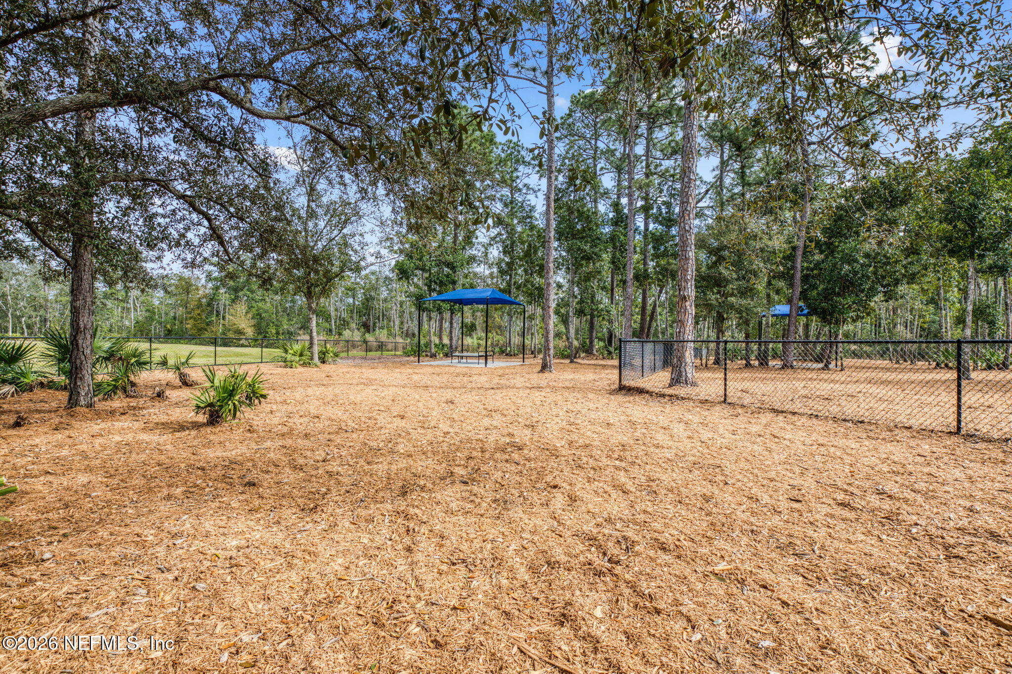 9989 Element Road Jacksonville, FL 32256 - Photo 55 of 58 9989 ELEMENT RD59