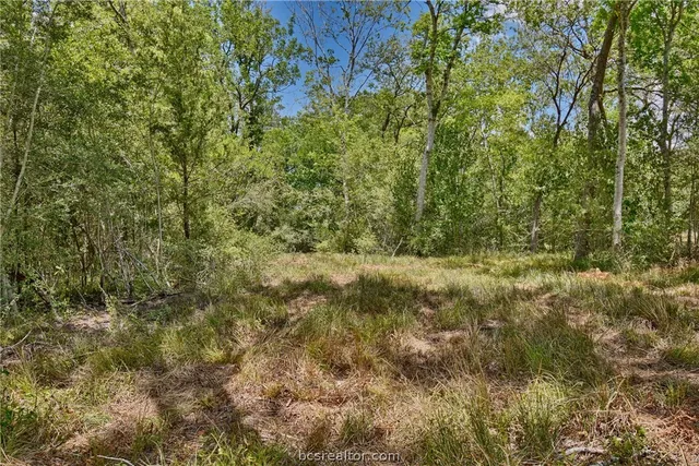 $178,950 | 7634 Woodland Farms Lane, Chappell Hill, TX 77426