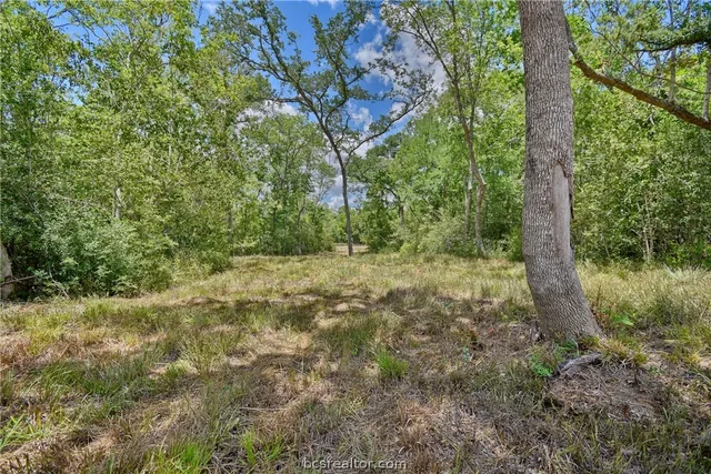 $178,950 | 7634 Woodland Farms Lane, Chappell Hill, TX 77426