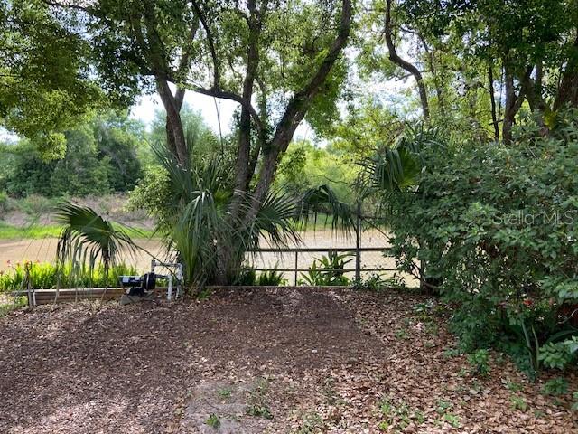 17499 Hanna Road Lutz, FL 33549 - Photo 9 of 9