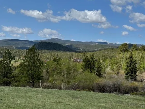 $94,975 | 137 Cimarron Road, Red Feather Lakes, CO 80545