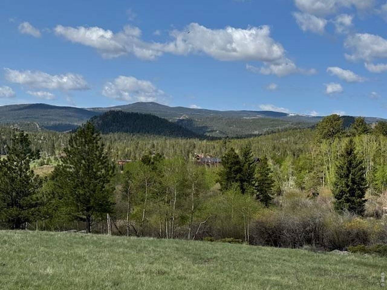 137 Cimarron Road Red Feather Lakes, CO 80545 - Photo 1 of 18