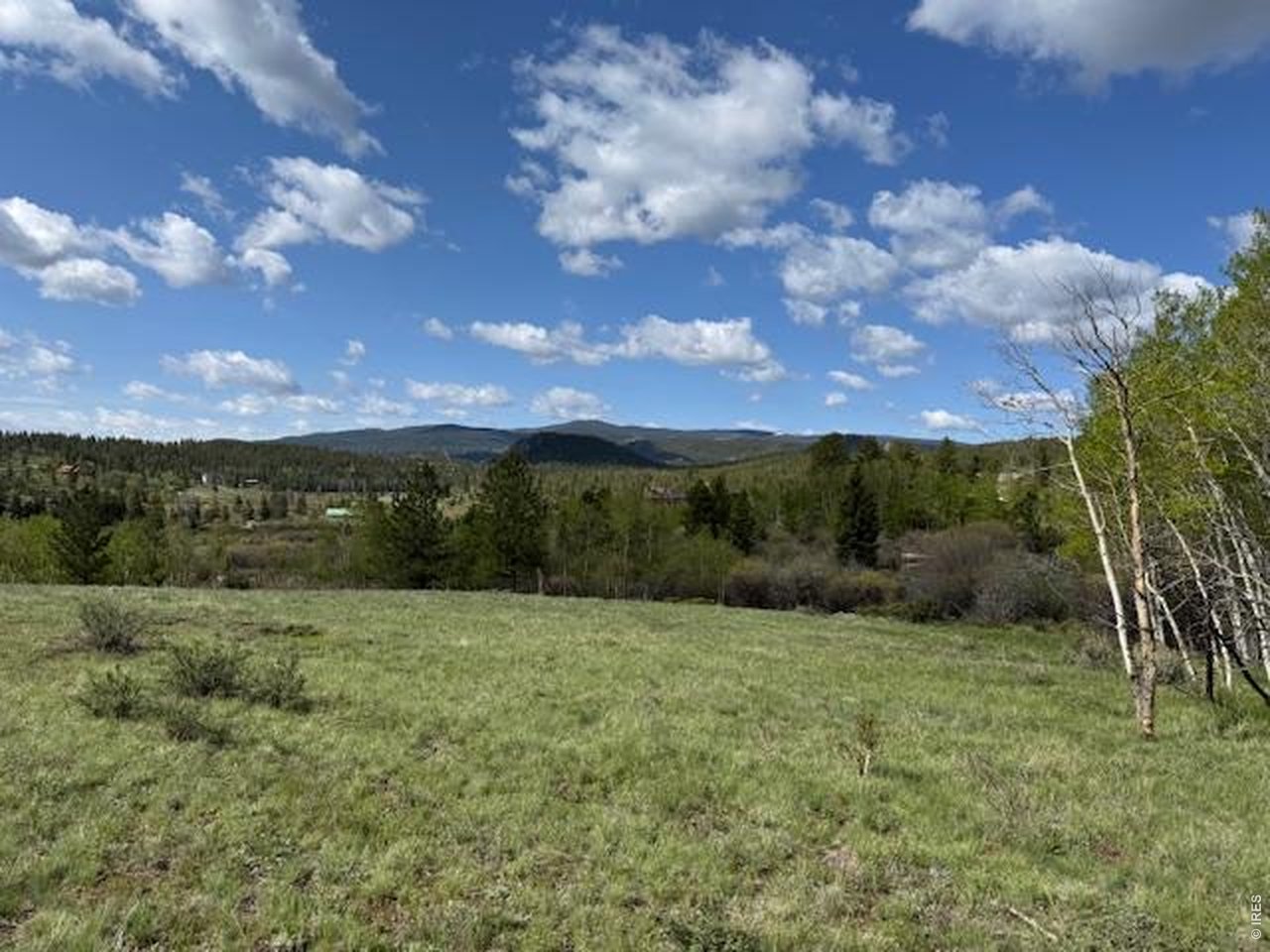 137 Cimarron Road Red Feather Lakes, CO 80545 - Photo 13 of 18