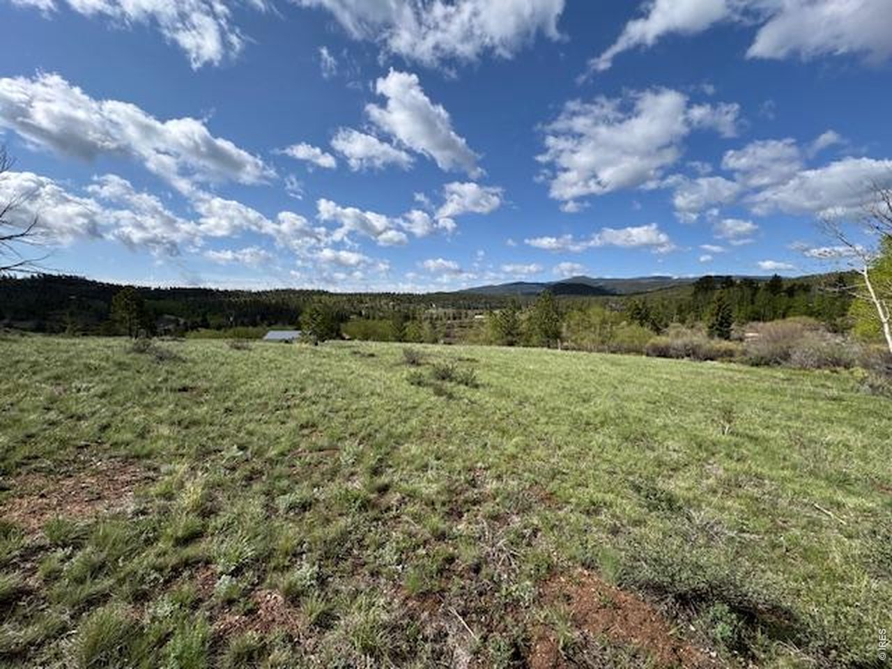 137 Cimarron Road Red Feather Lakes, CO 80545 - Photo 14 of 18