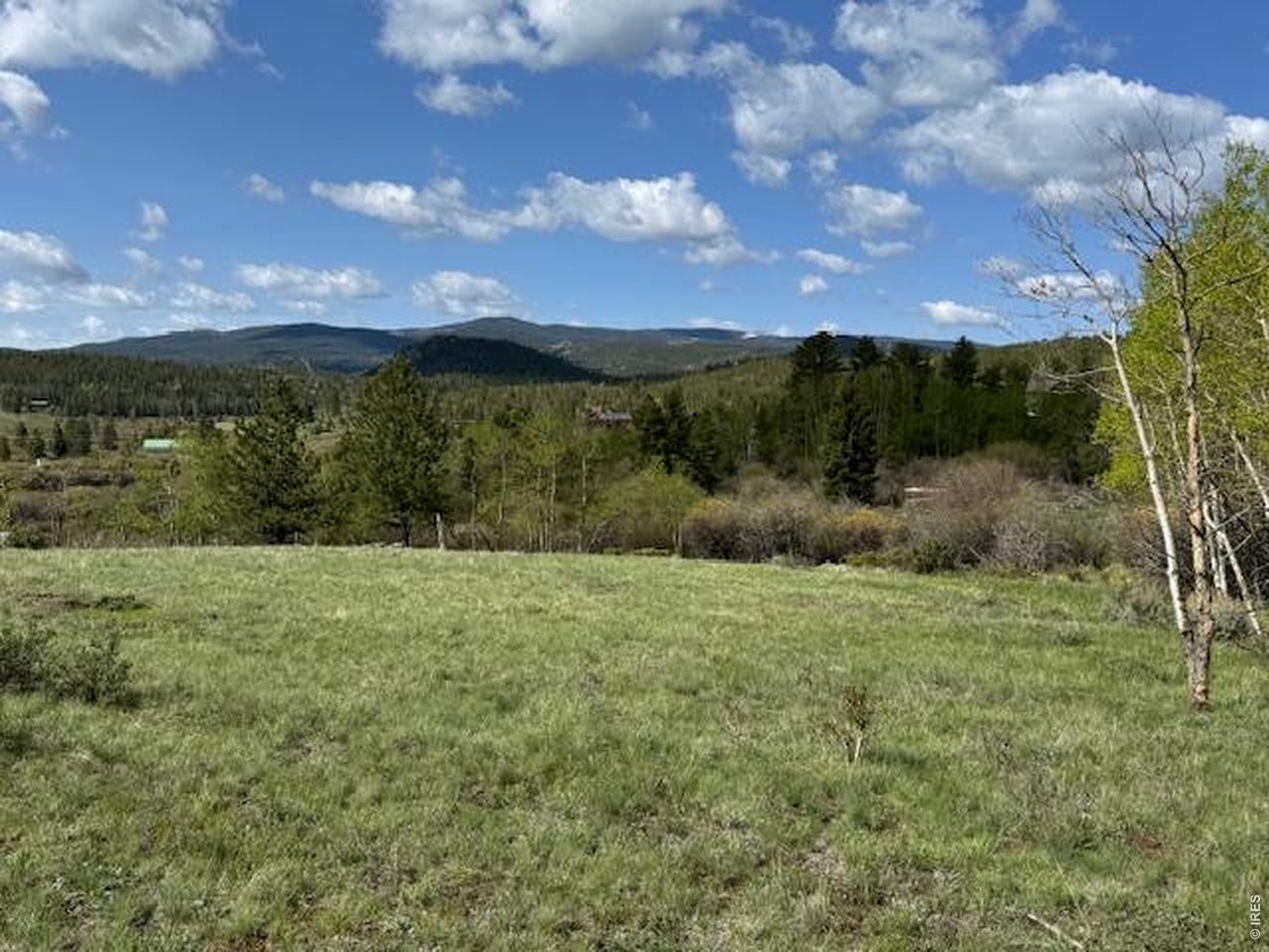 137 Cimarron Road Red Feather Lakes, CO 80545 - Photo 16 of 18
