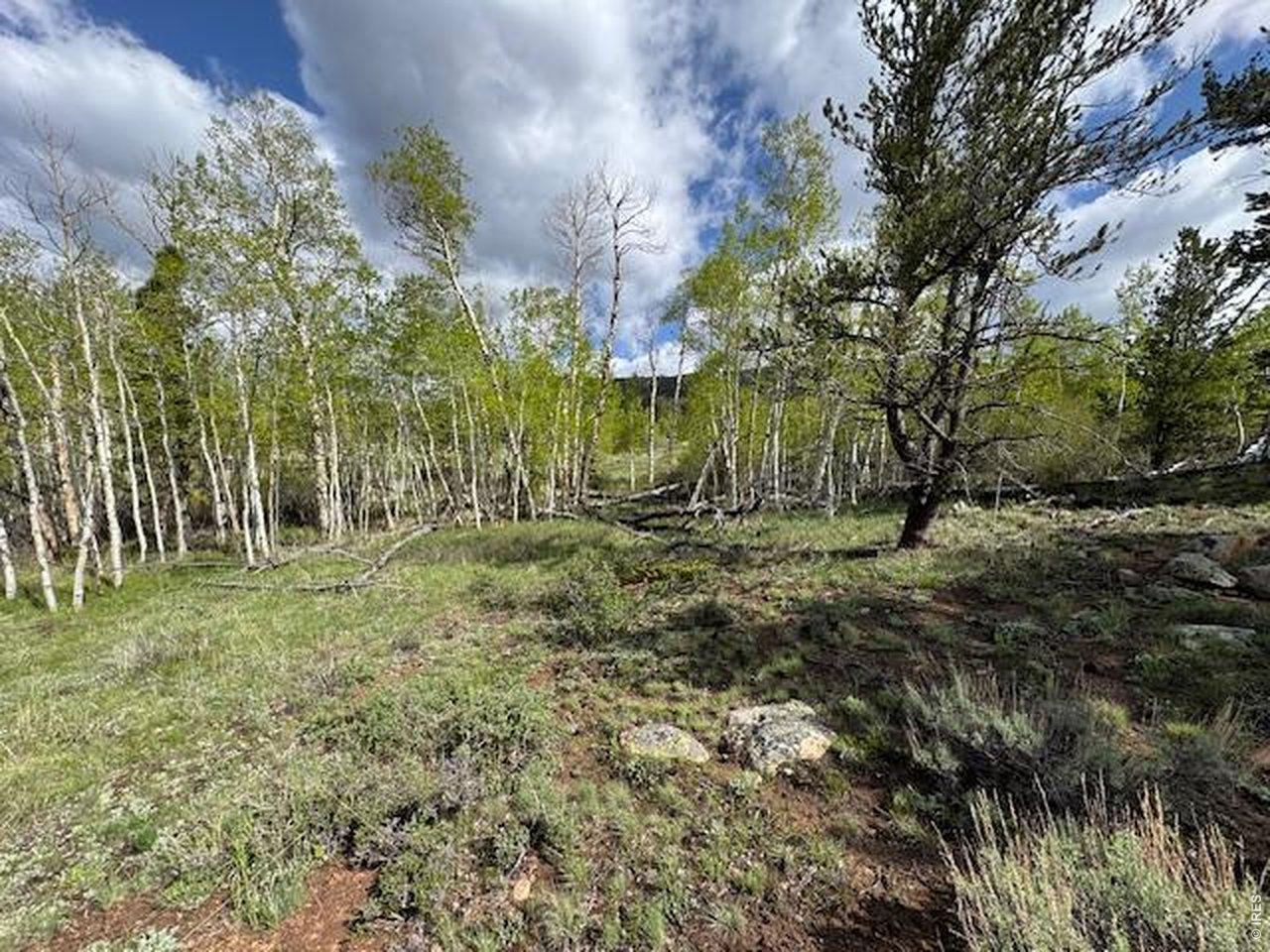 137 Cimarron Road Red Feather Lakes, CO 80545 - Photo 17 of 18