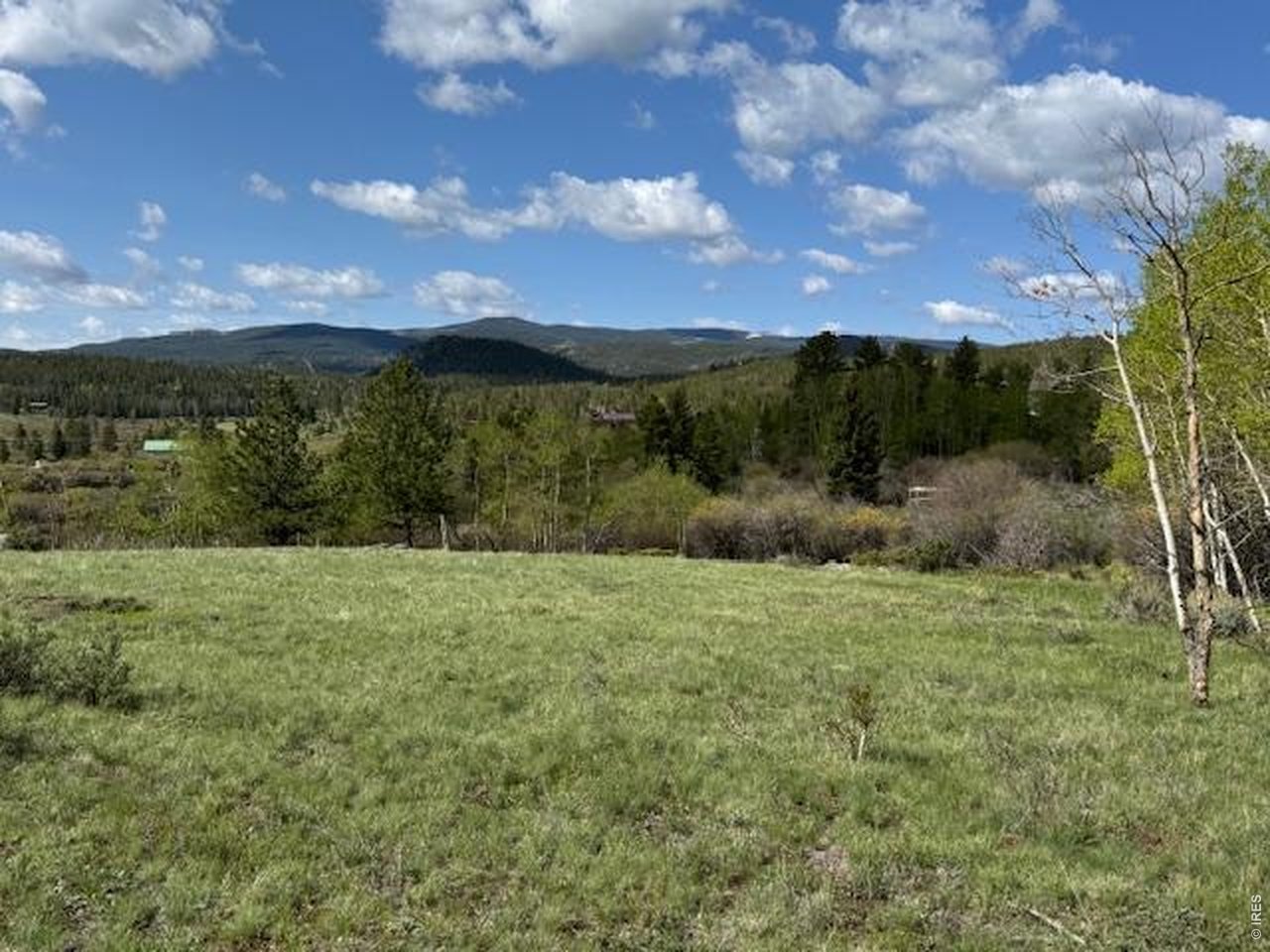 137 Cimarron Road Red Feather Lakes, CO 80545 - Photo 2 of 18