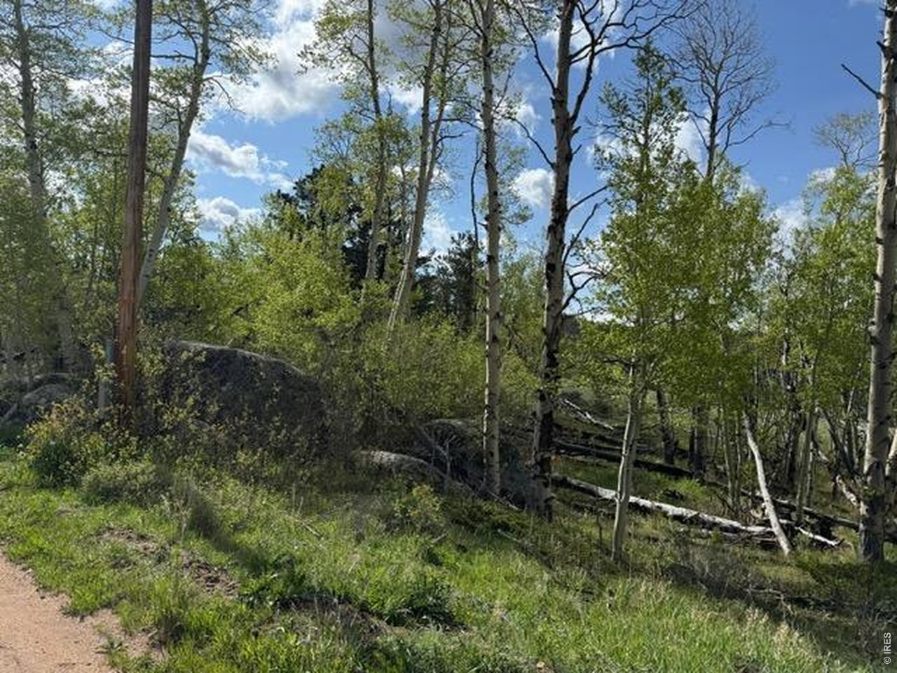 137 Cimarron Road Red Feather Lakes, CO 80545 - Photo 5 of 18