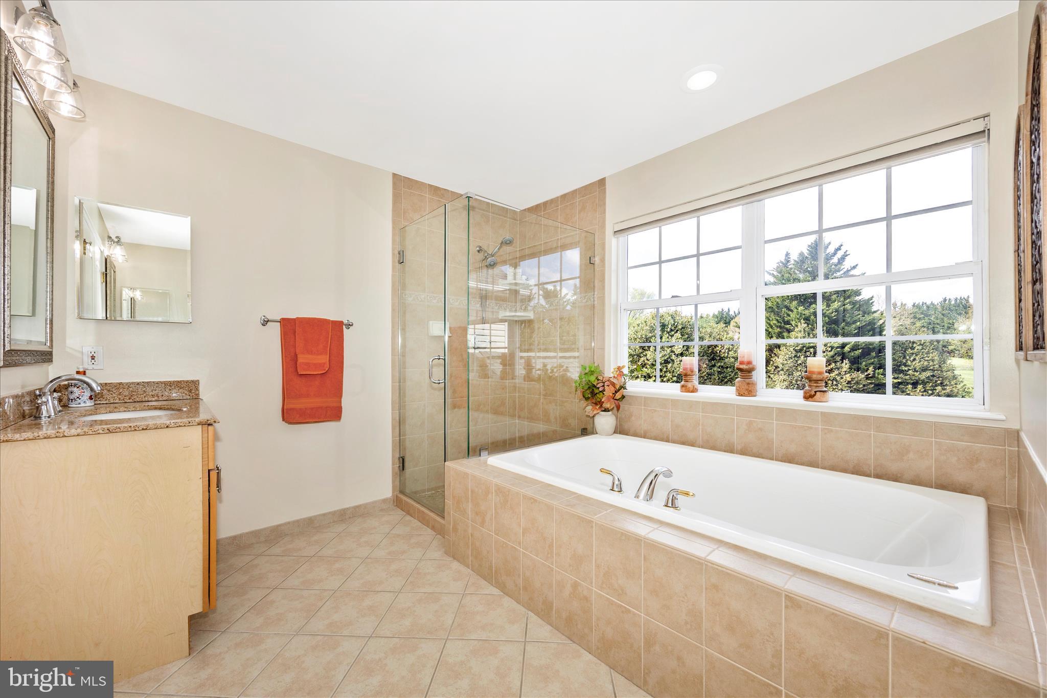 9607 Greenel Road Damascus, MD 20872 - Photo 49 of 102 Primary Bathroom