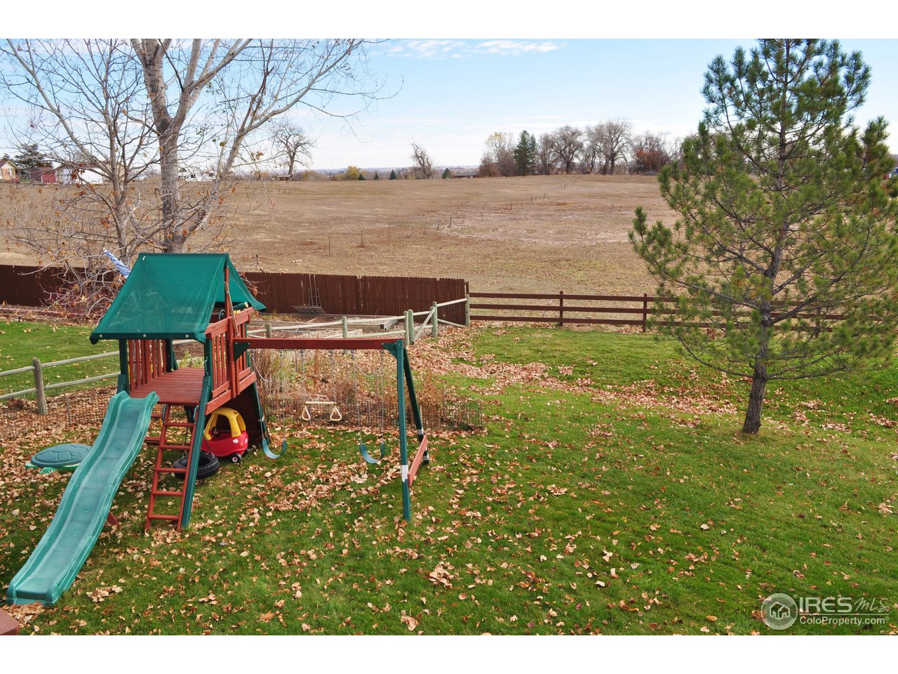 6742 Flagler Road Fort Collins, CO 80525 - Photo 20 of 28 Nice yard and view