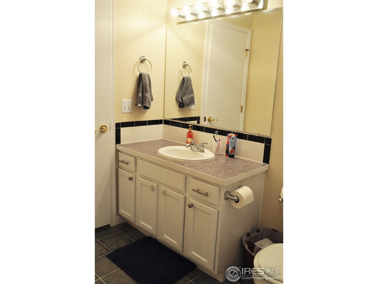 6742 Flagler Road Fort Collins, CO 80525 - Photo 22 of 28 Basement bath