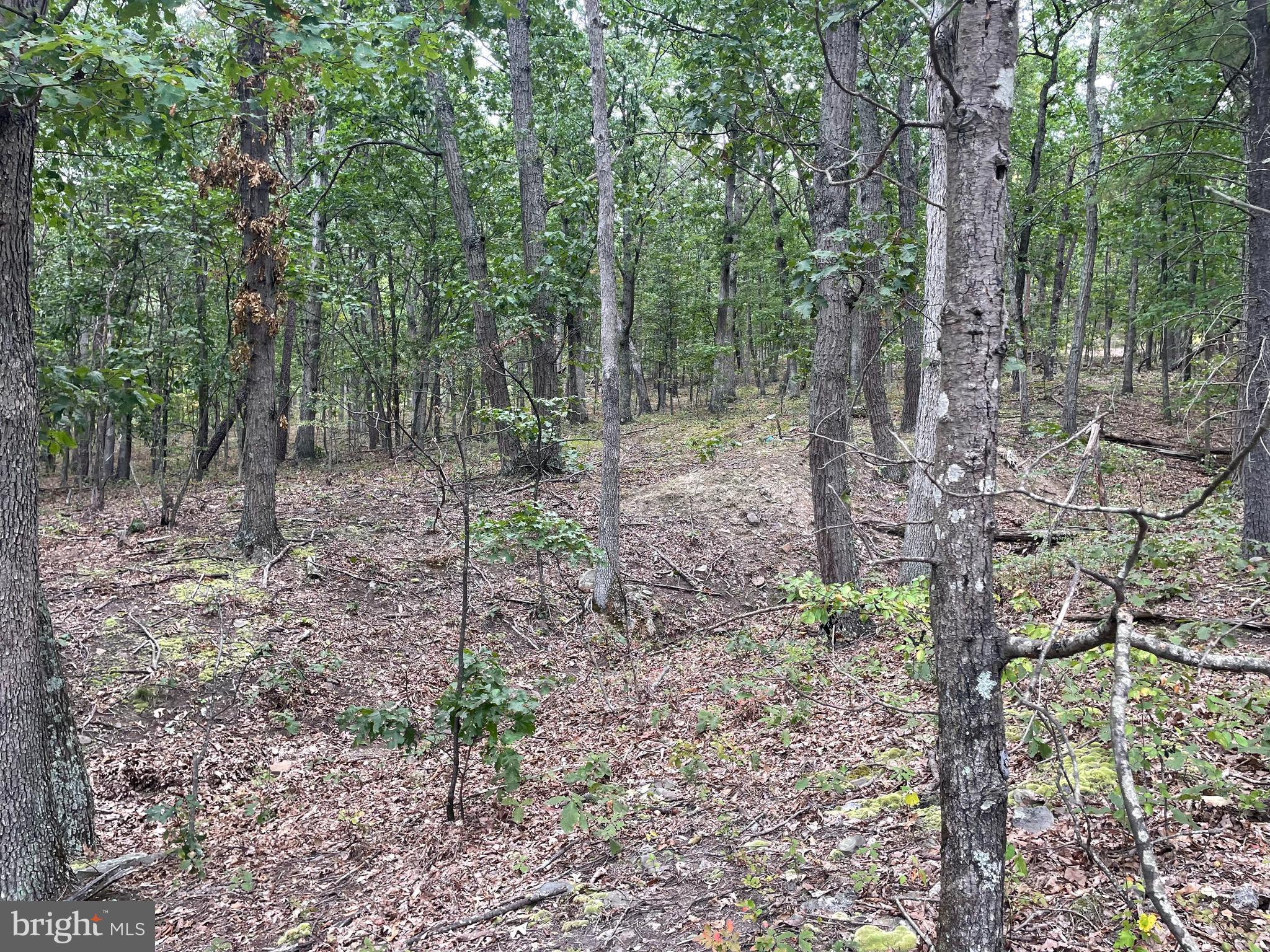 17 Section D Lake Springfield, WV 26763 - Photo 5 of 12 Gallery Image 5