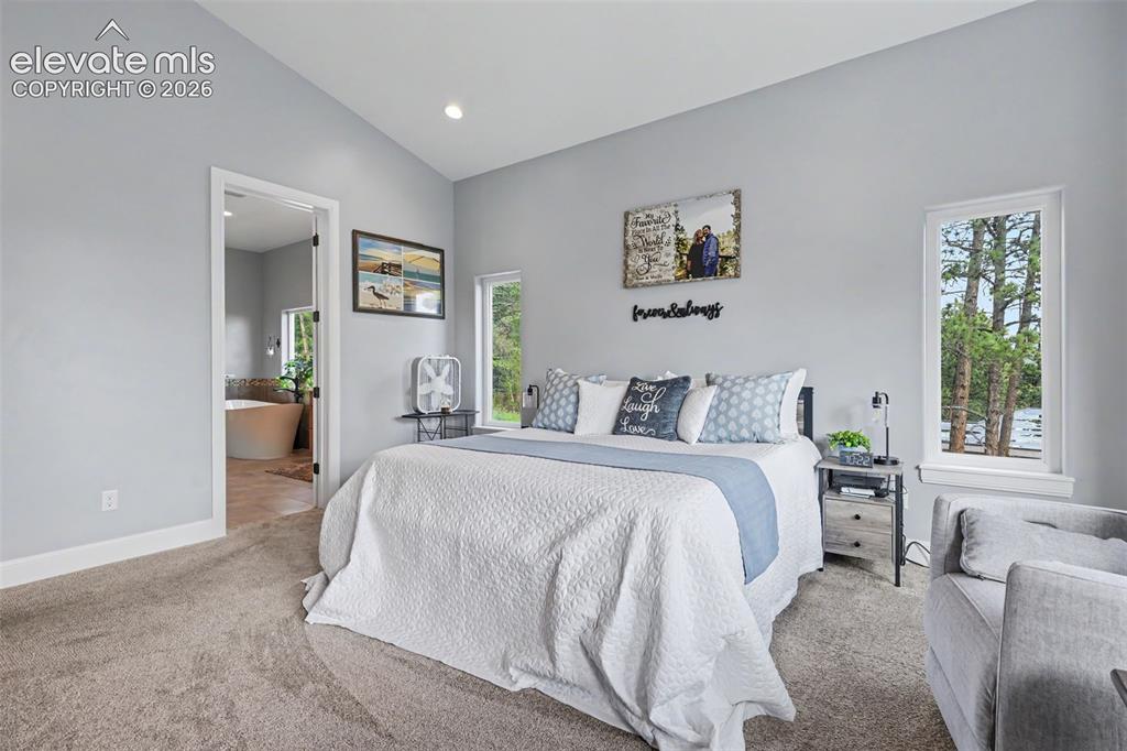 21 Leaming Road Colorado Springs, CO 80906 - Photo 26 of 48 Spacious room featuring vaulted ceilings, recessed lighting, plush carpeting, and multiple windows