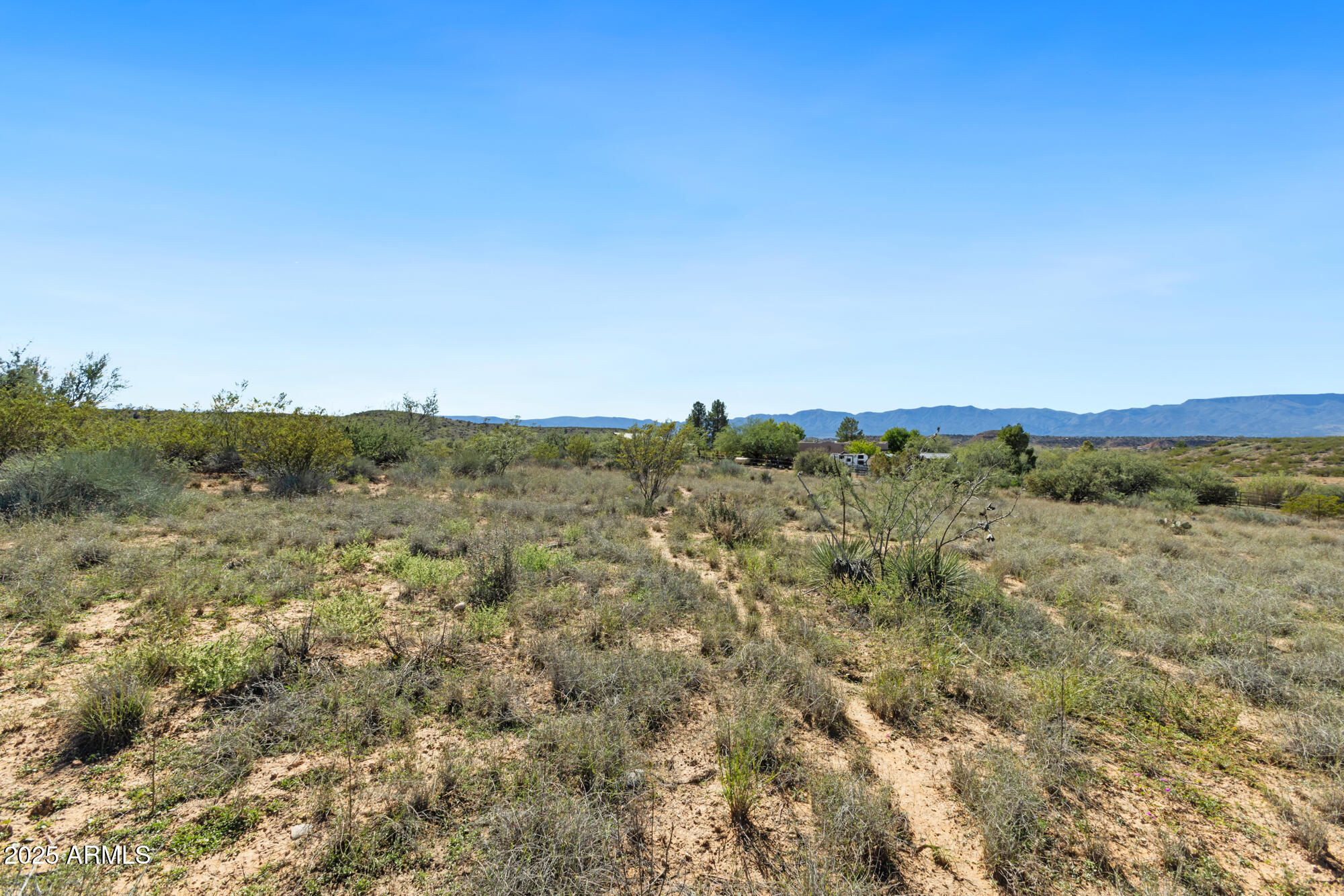 1970 Equestrian Way Cornville, AZ 86325 - Photo 7 of 13 a view of a large trees with lots of trees